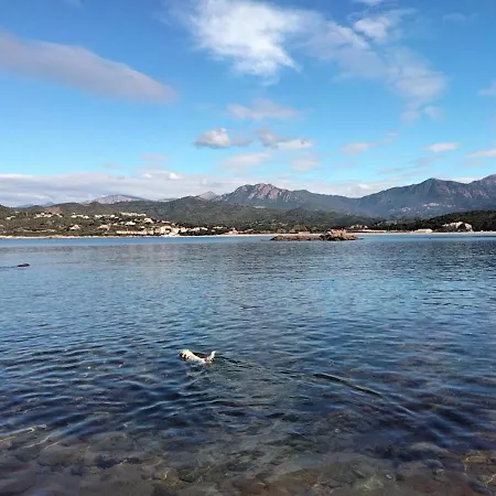 Orcino Entre Et Maquis * Calcatoggio (Corsica)