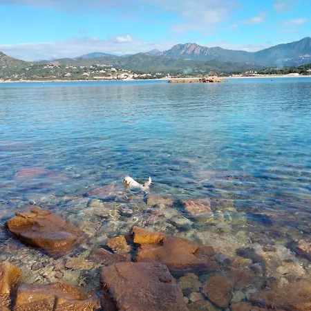 Orcino Entre Et Maquis Calcatoggio (Corsica)