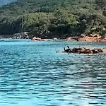 Orcino Entre Et Maquis Appartamento